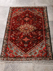 Persian Hamadan Rug | 2' 7” x 3' 10