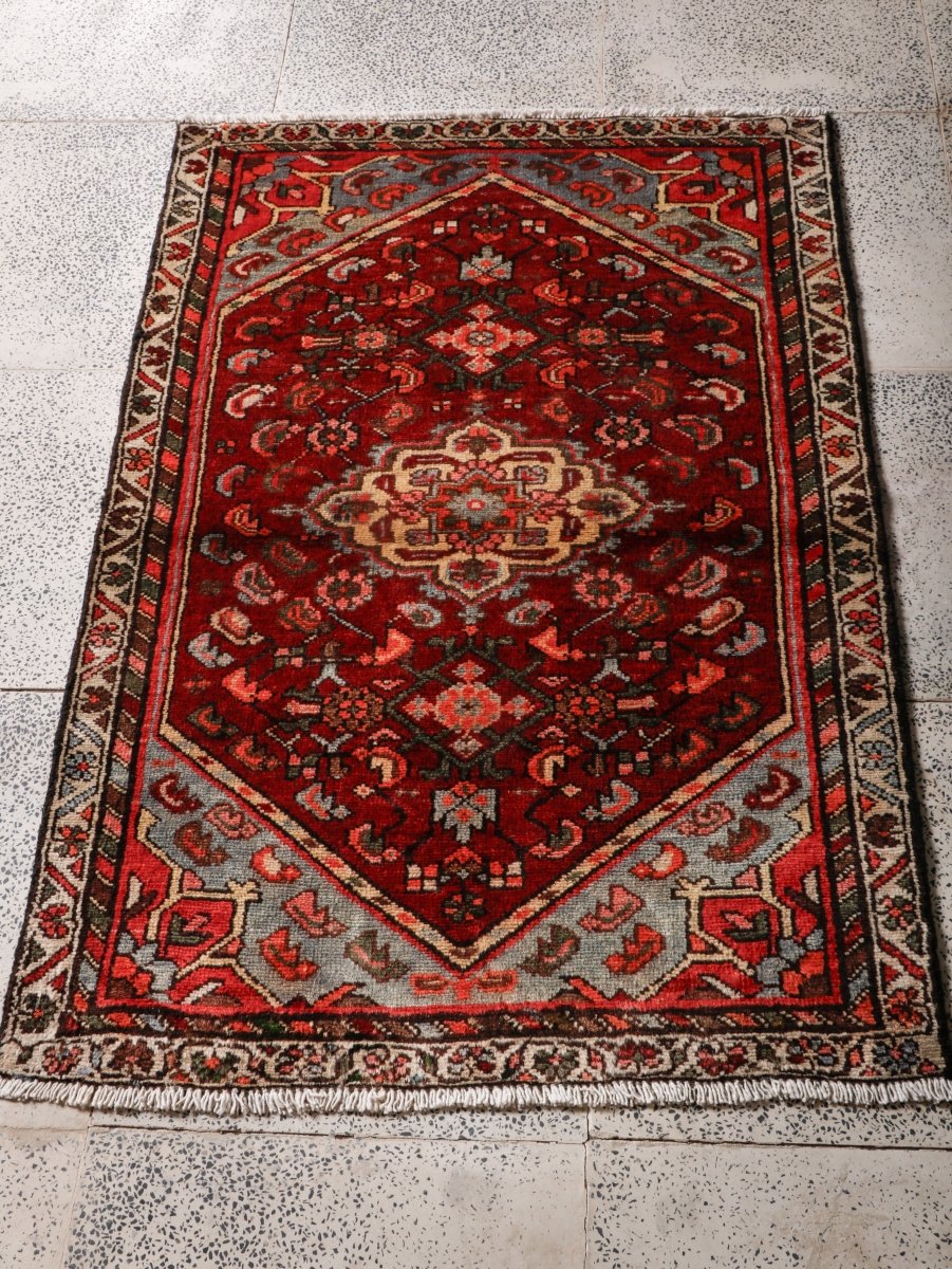 Persian Hamadan Rug | 2' 7” x 3' 10