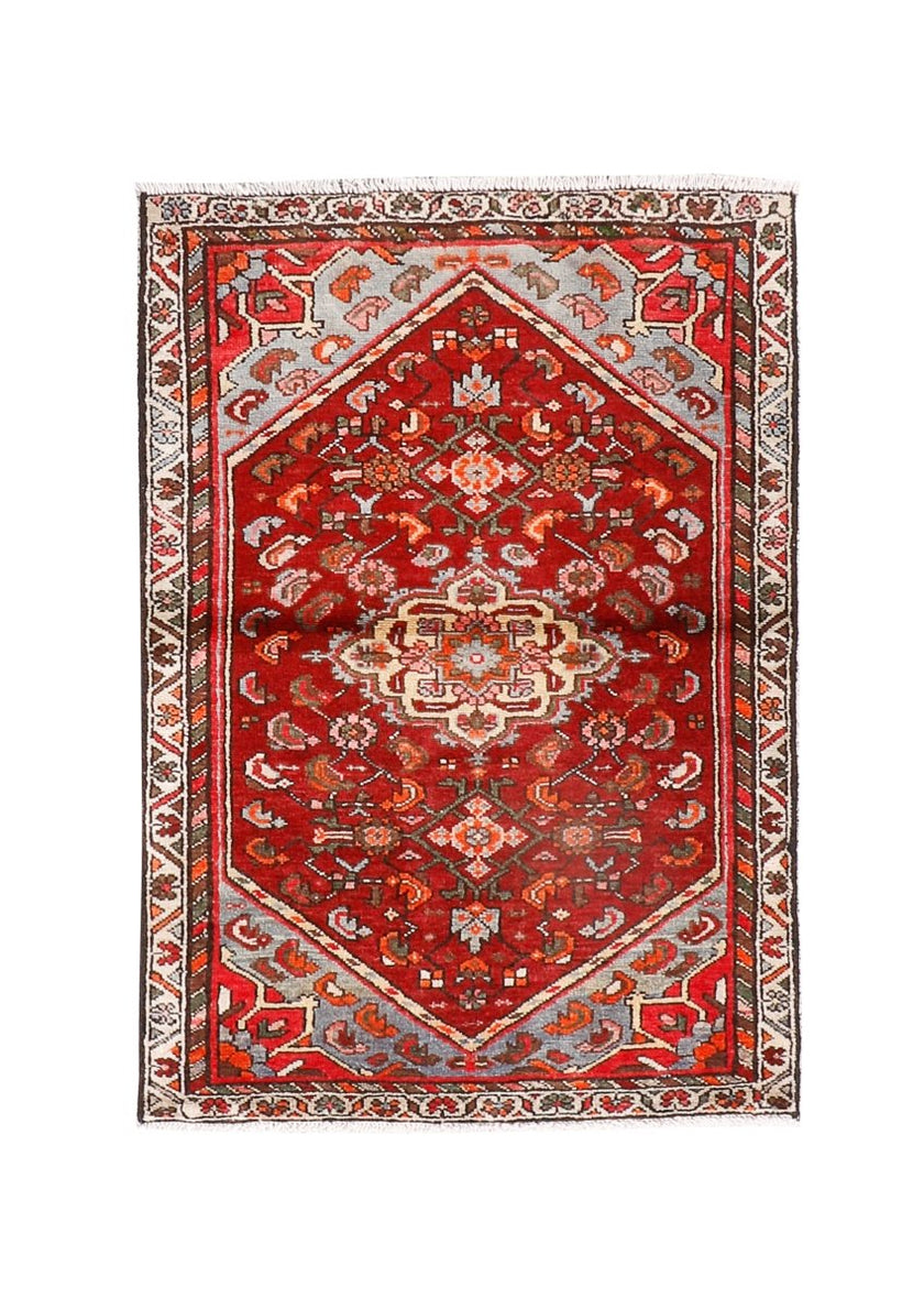 Persian Hamadan Rug | 2' 7” x 3' 10