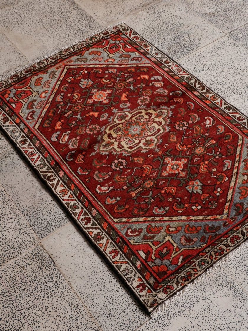 Persian Hamadan Rug | 2' 7” x 3' 10