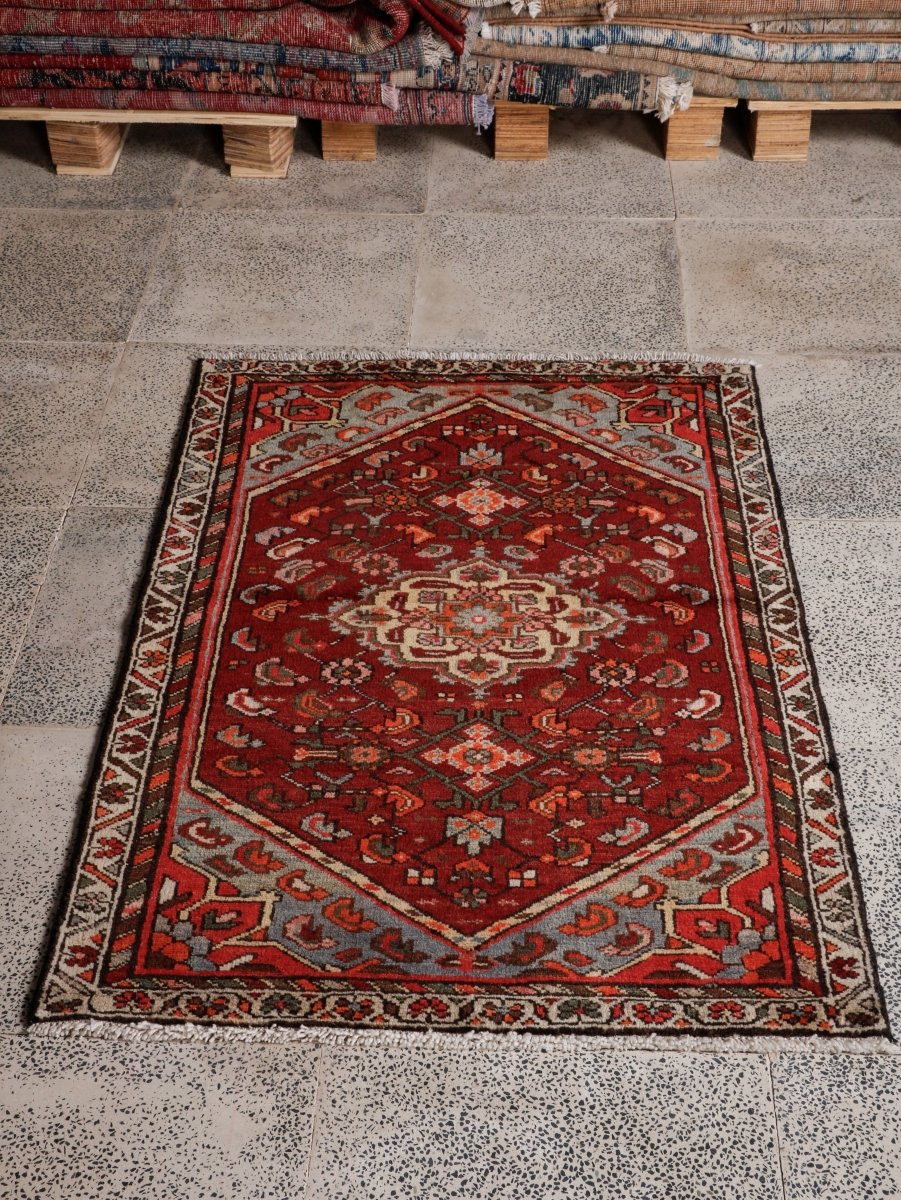 Persian Hamadan Rug | 2' 7” x 3' 10