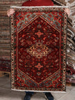 Persian Hamadan Rug | 2' 7” x 3' 10