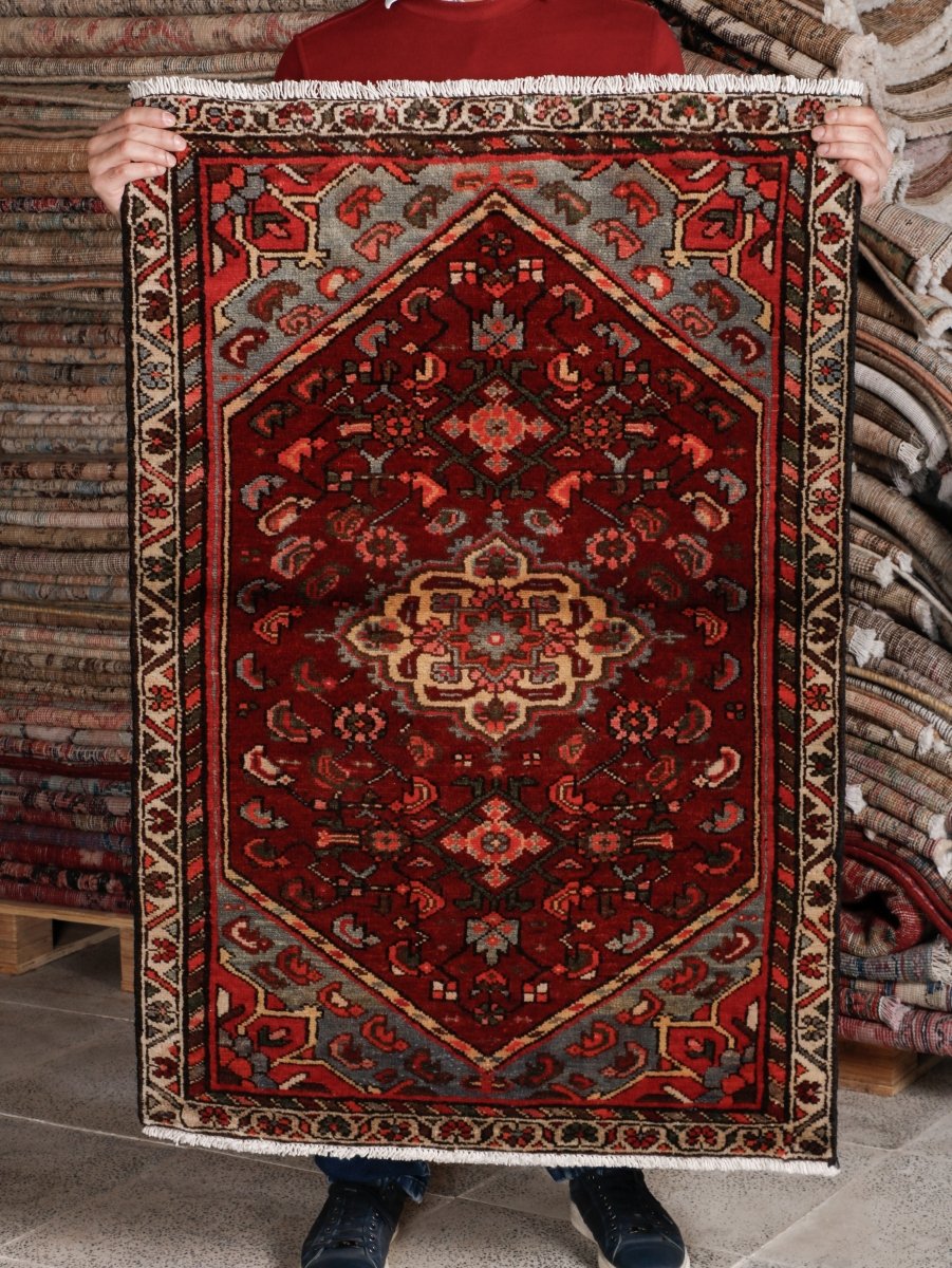 Persian Hamadan Rug | 2' 7” x 3' 10