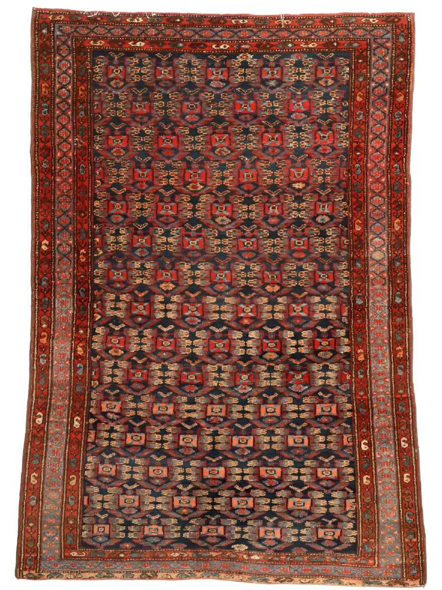 Persian Hamadan Rug | 5' 9