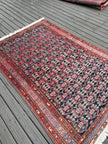 Persian Hamadan Rug | 5' 9