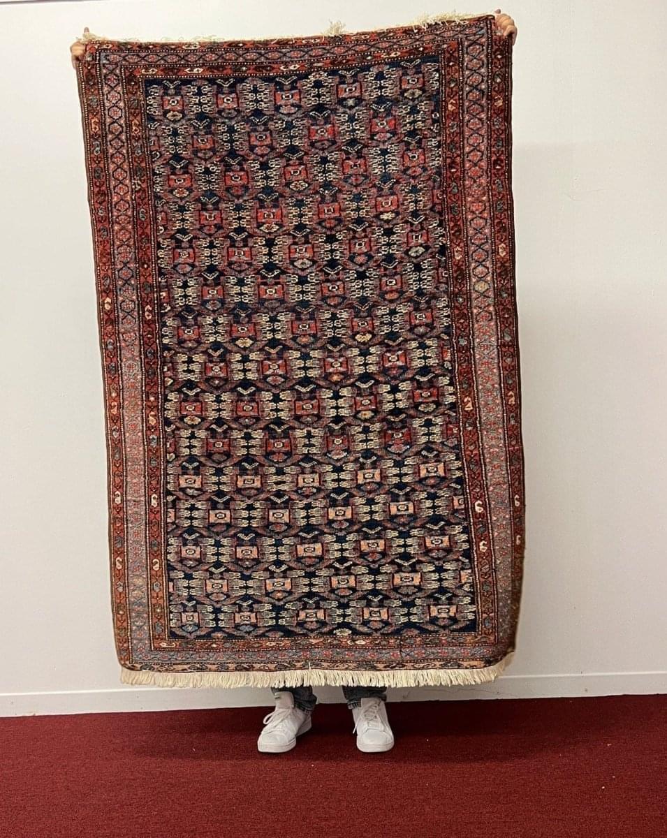 Persian Hamadan Rug | 5' 9