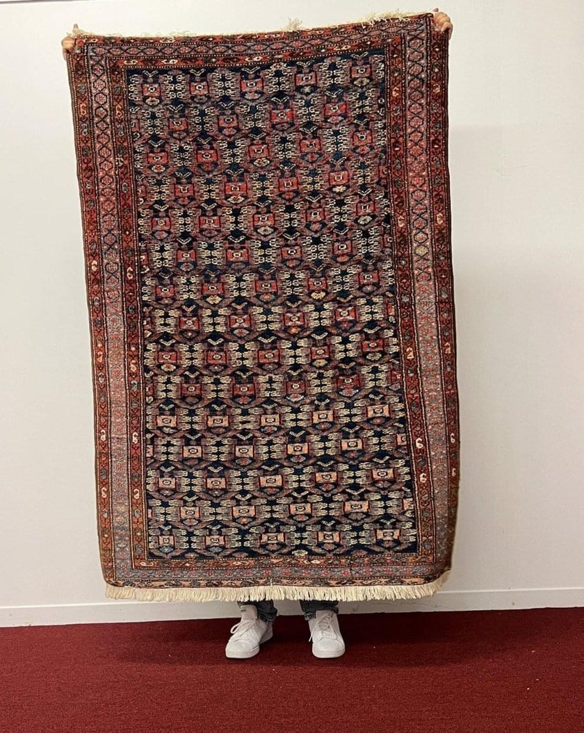 Persian Hamadan Rug | 5' 9
