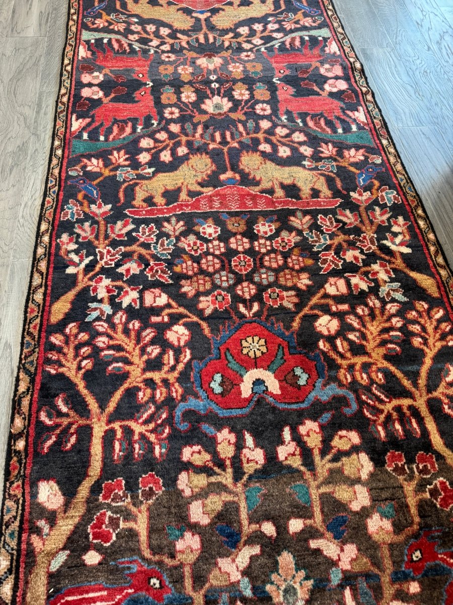 Persian Hamadan Runner Rug | 3' 1