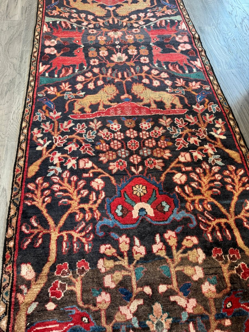 Persian Hamadan Runner Rug | 3' 1