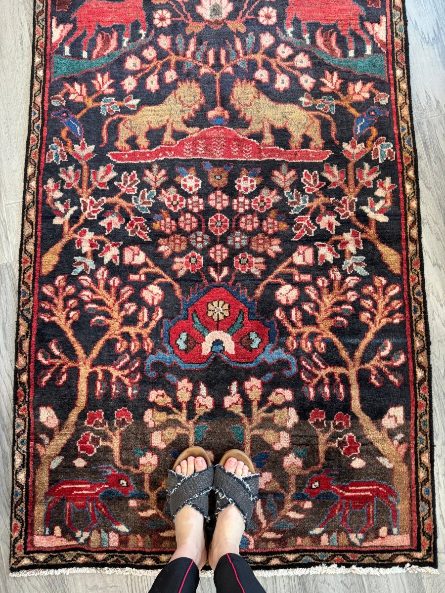 Persian Hamadan Runner Rug | 3' 1