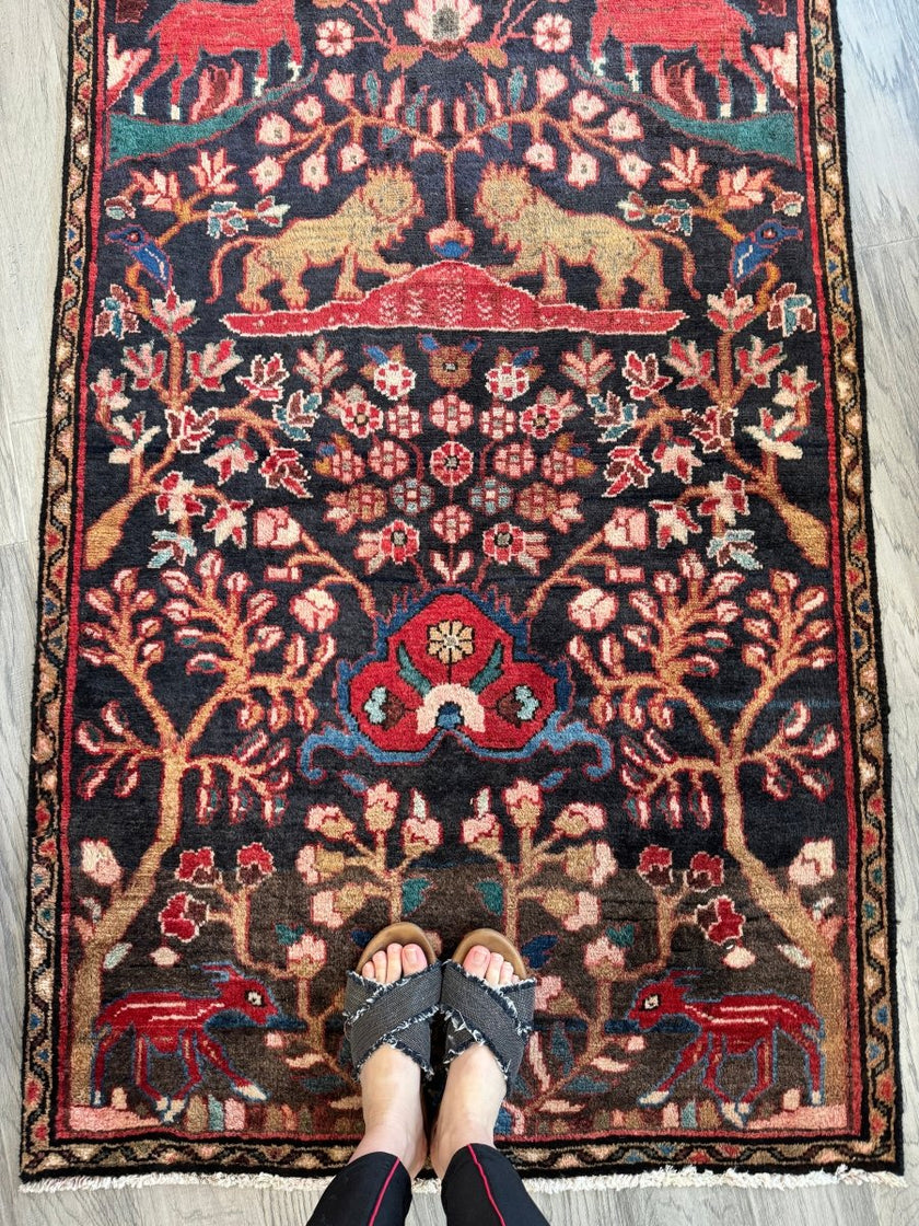 Persian Hamadan Runner Rug | 3' 1