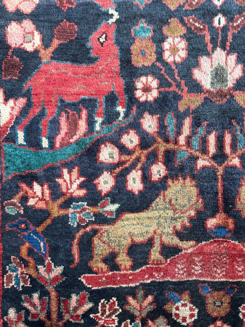 Persian Hamadan Runner Rug | 3' 1