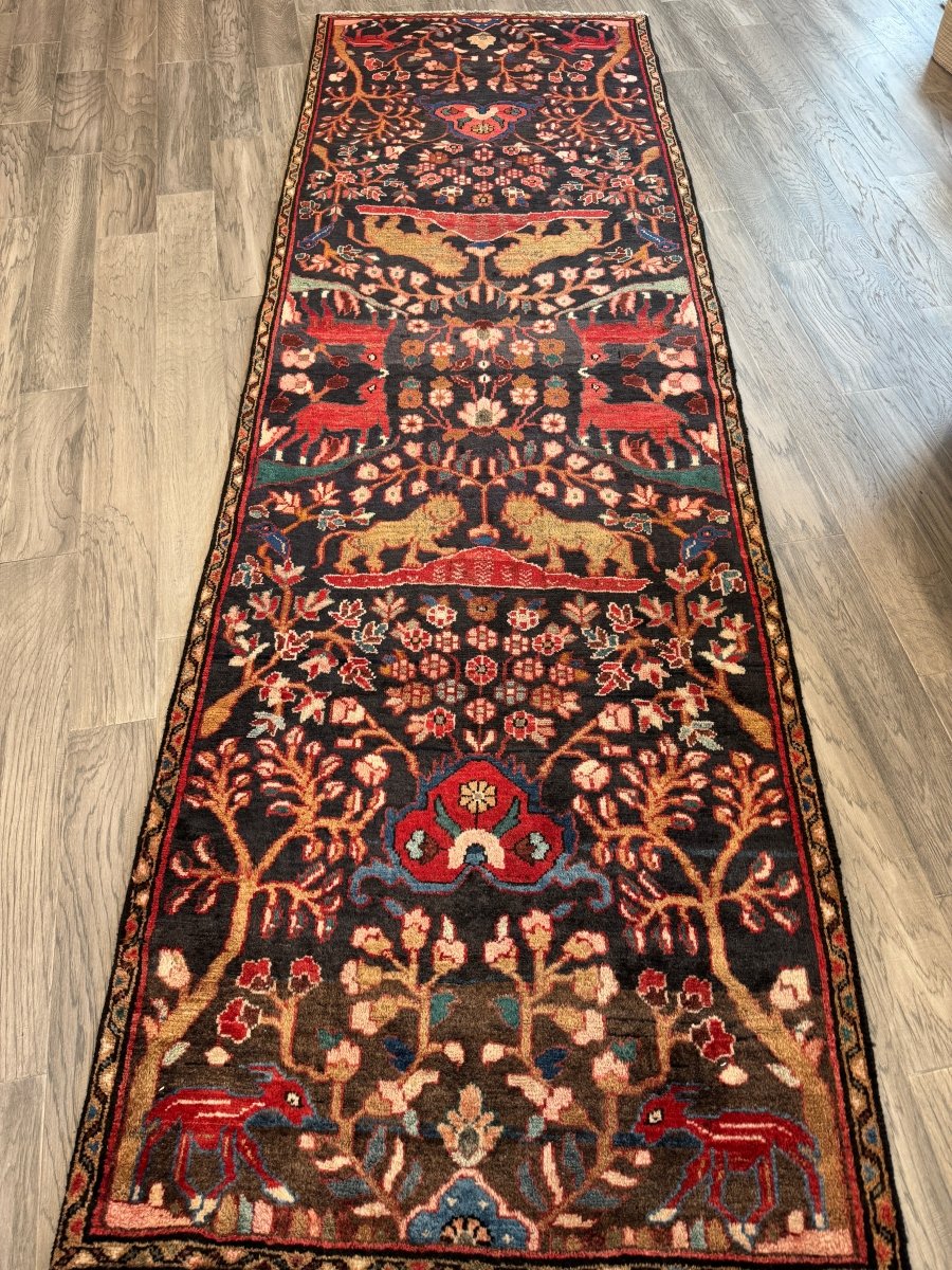 Persian Hamadan Runner Rug | 3' 1