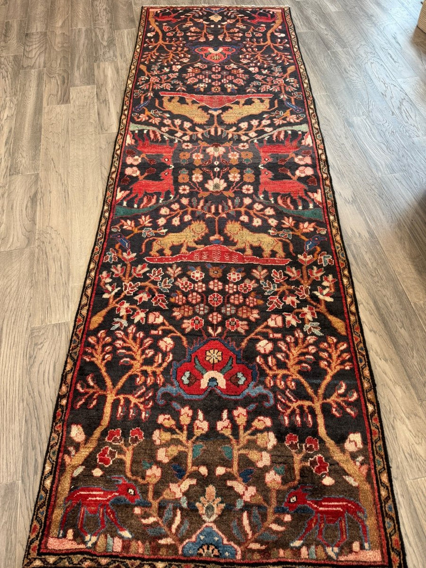 Persian Hamadan Runner Rug | 3' 1