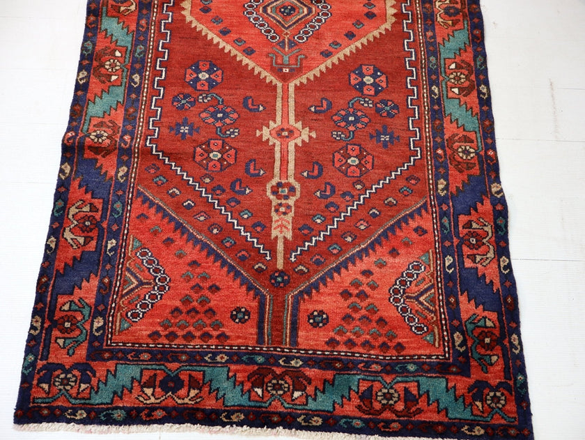 Persian Hamadan Runner Rug | 3' 3” x 6' 9