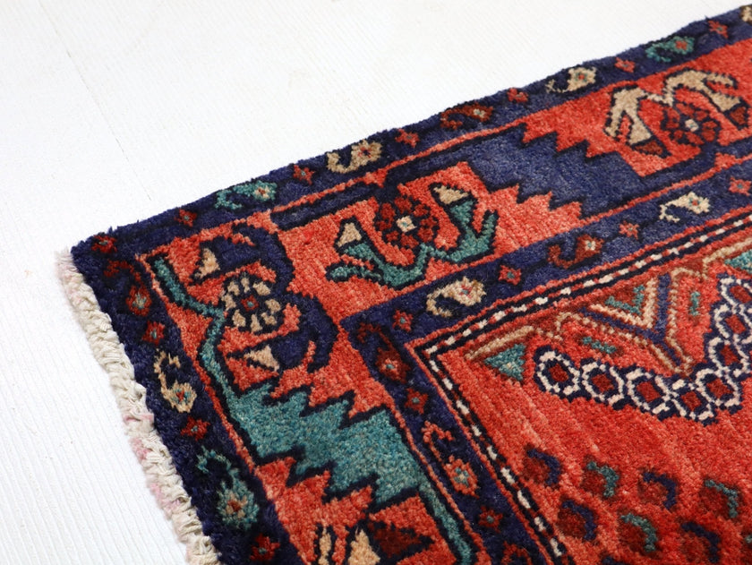 Persian Hamadan Runner Rug | 3' 3” x 6' 9