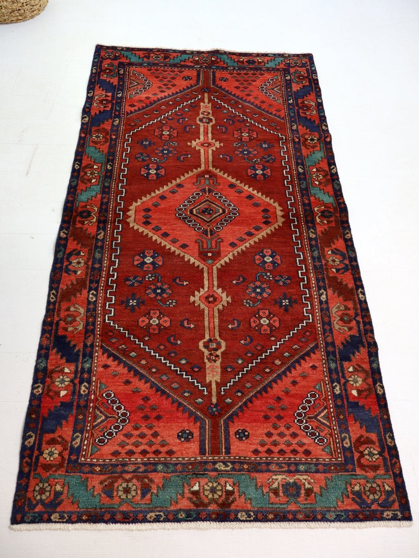 Persian Hamadan Runner Rug | 3' 3” x 6' 9