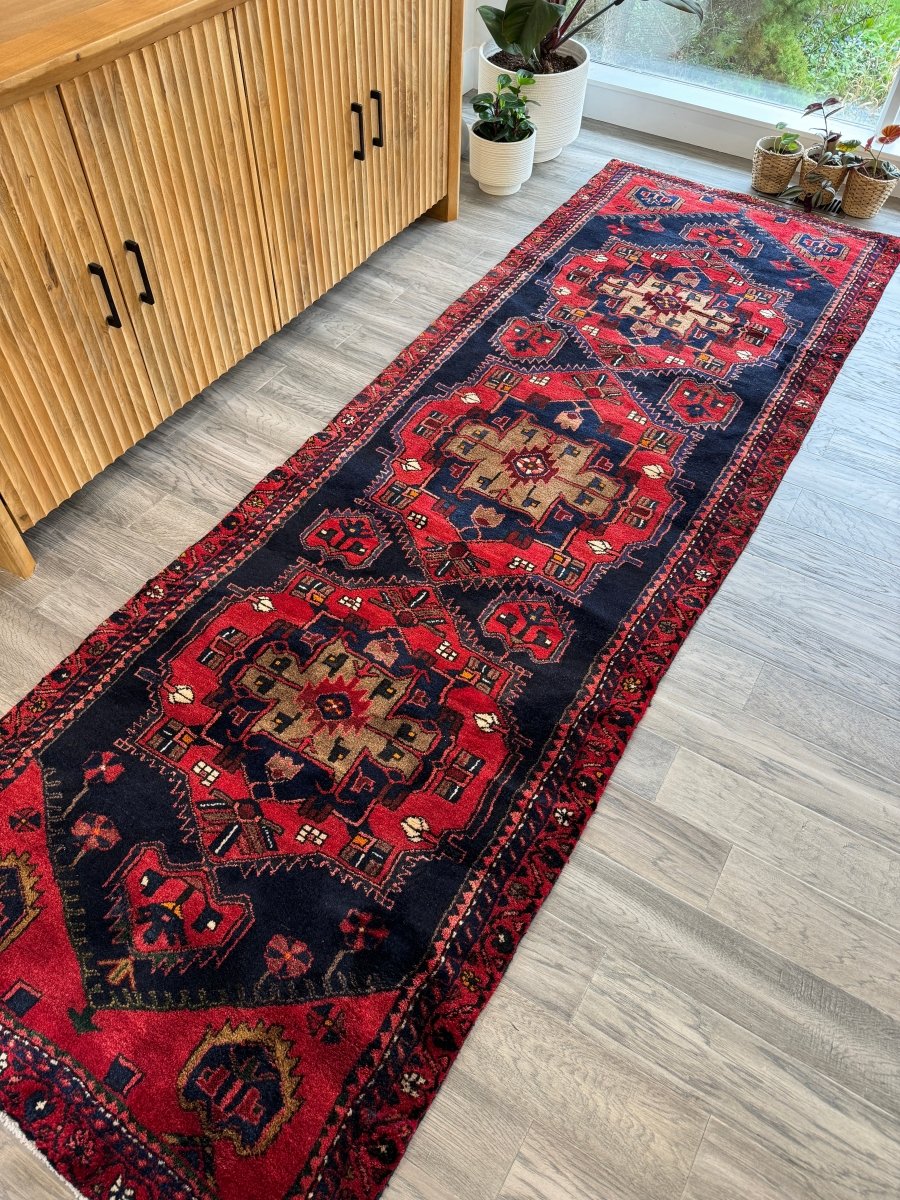 Persian Hamadan Runner Rug | 3' 3