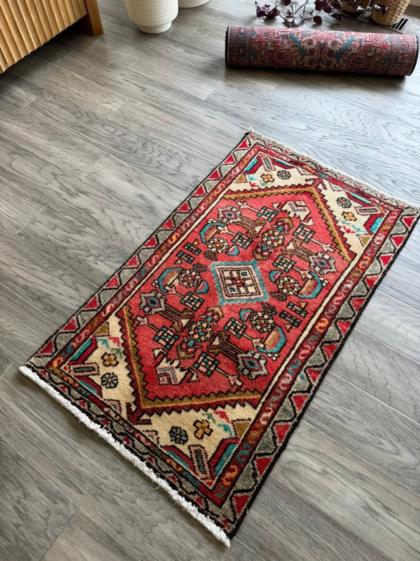 Persian Hamedan Rug | 1' 10