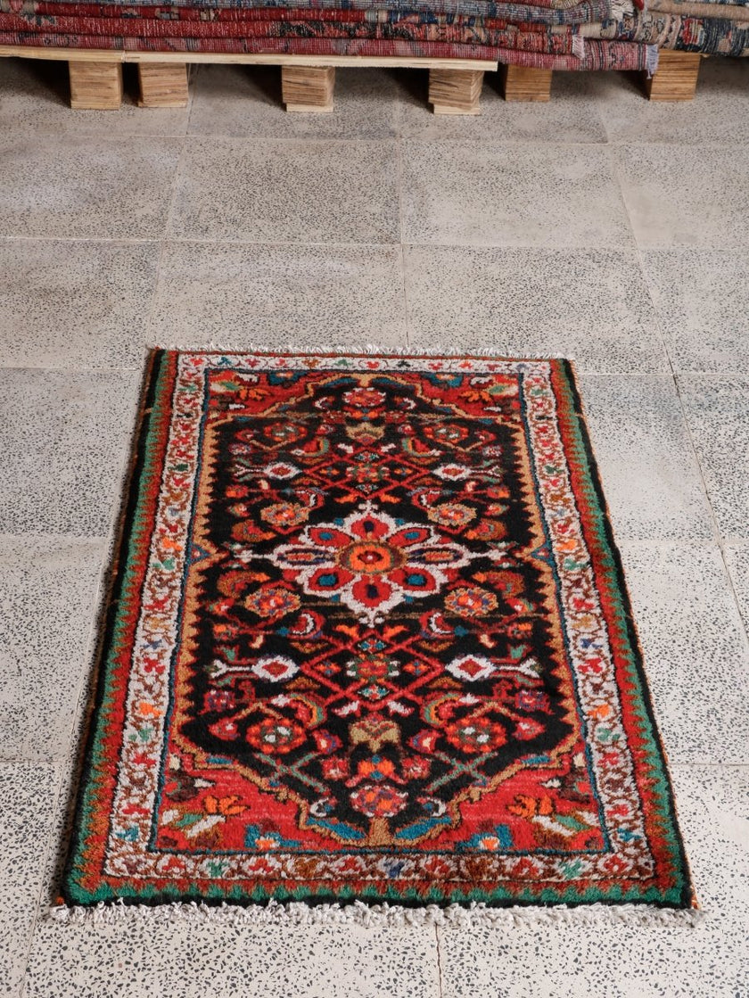 Persian Hamedan Rug | 2' 2” x 3' 5