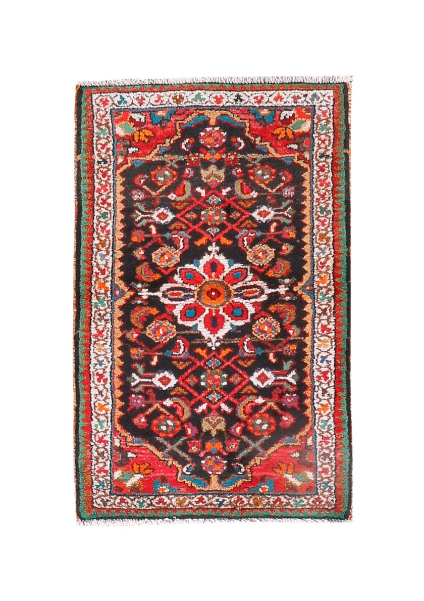 Persian Hamedan Rug | 2' 2” x 3' 5