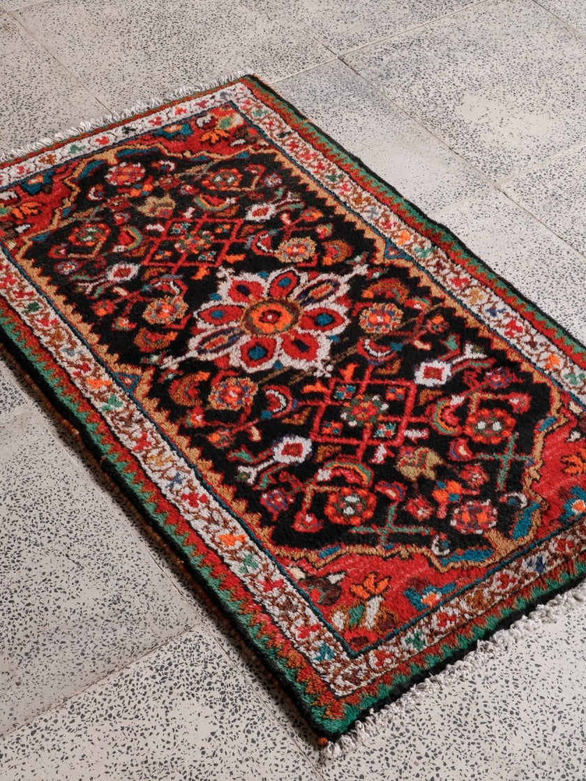Persian Hamedan Rug | 2' 2” x 3' 5