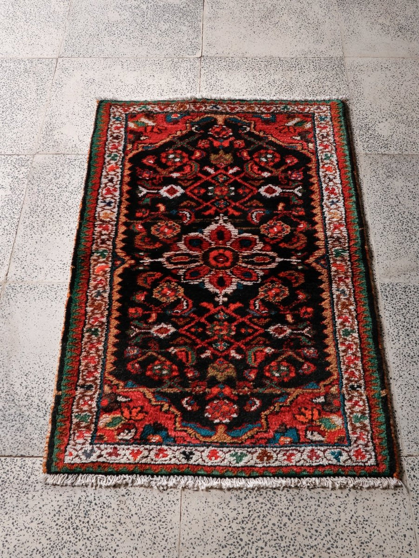 Persian Hamedan Rug | 2' 2” x 3' 5