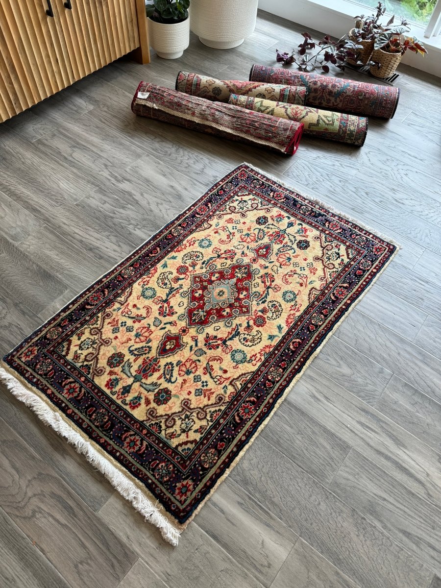Persian Hamedan Rug | 2' 3