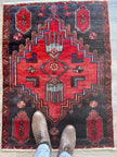 Persian Hamedan Rug | 2' 7