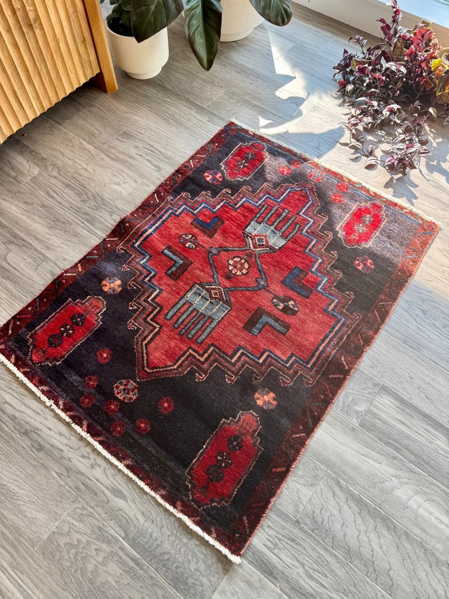 Persian Hamedan Rug | 2' 7