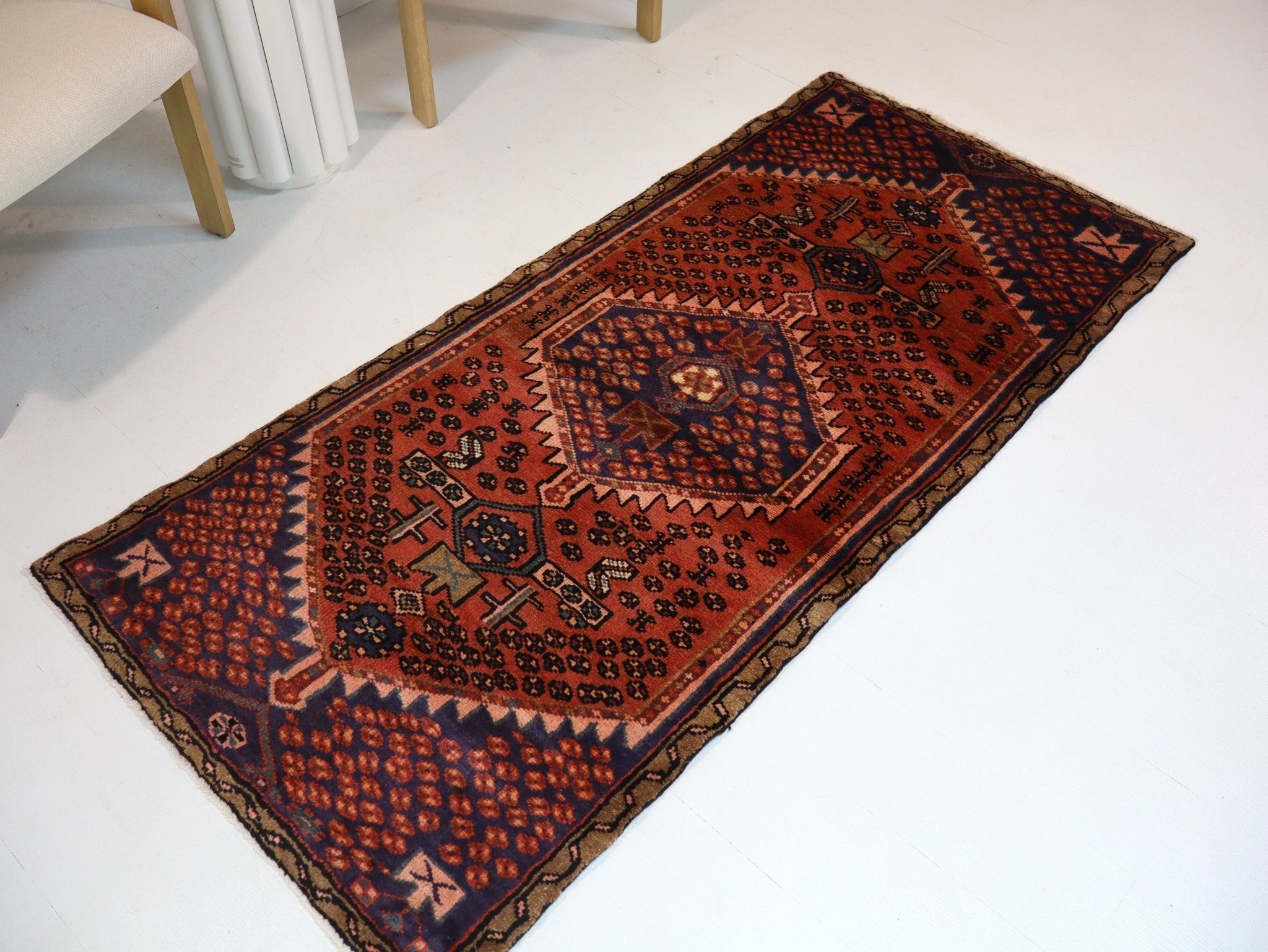 Persian Hamedan Rug | 2' 9” x 6'