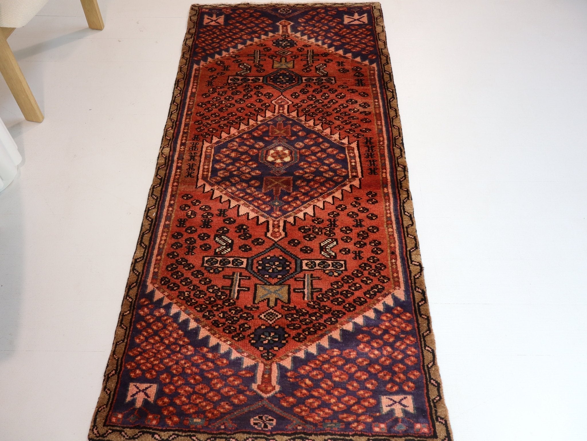 Persian Hamedan Rug | 2' 9” x 6'