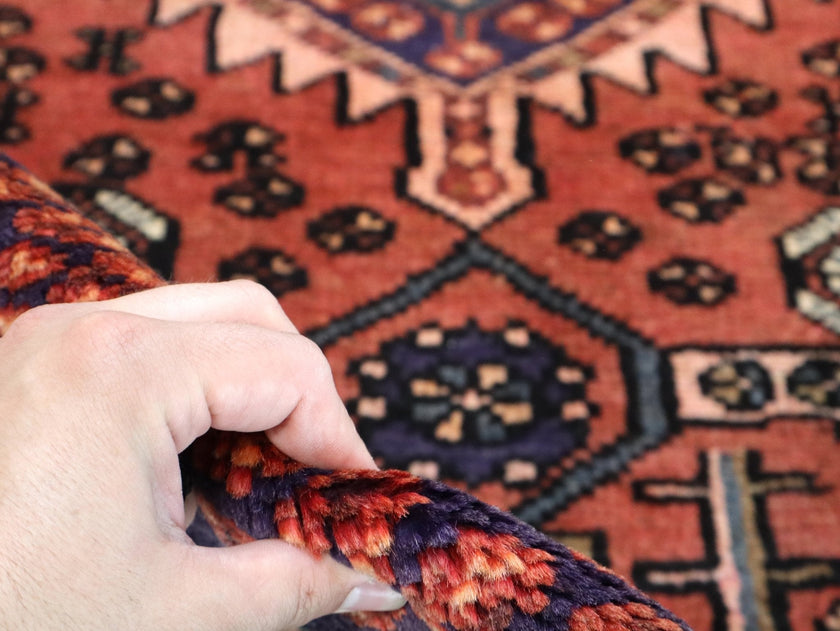 Persian Hamedan Rug | 2' 9” x 6'