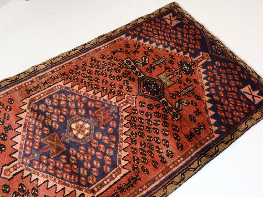 Persian Hamedan Rug | 2' 9” x 6'