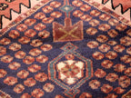 Persian Hamedan Rug | 2' 9” x 6'