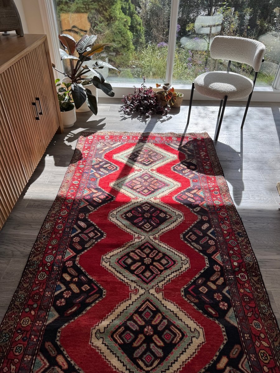 Persian Hamedan Rug | 3' 11