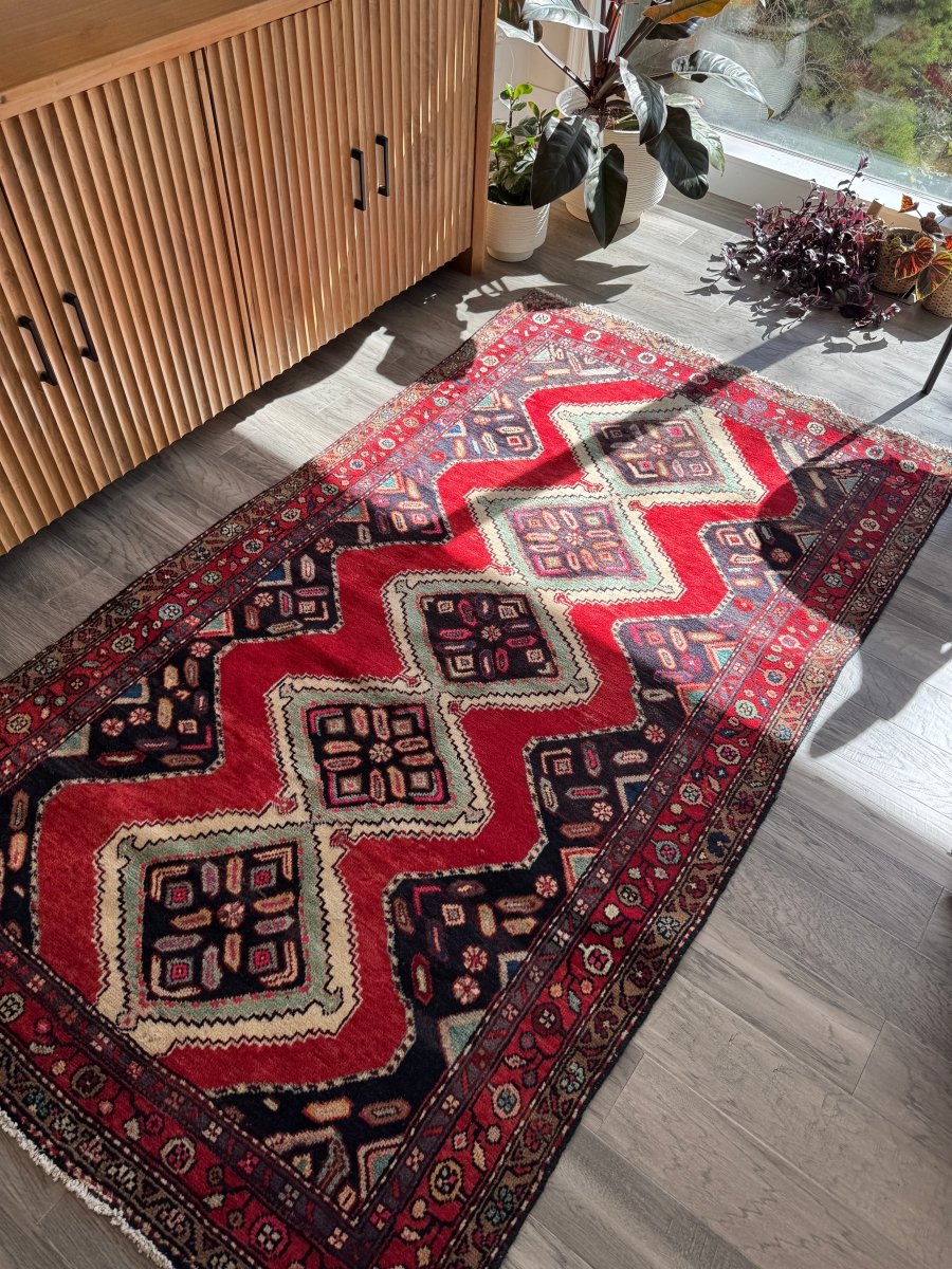 Persian Hamedan Rug | 3' 11