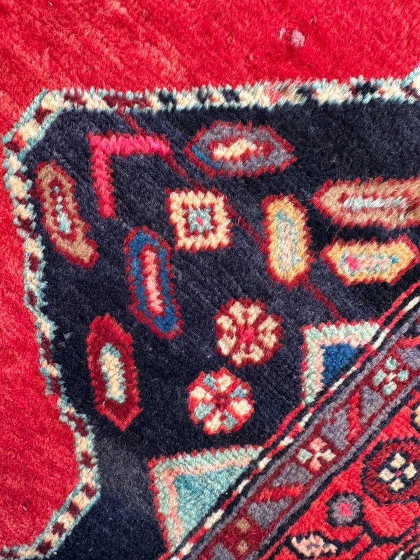 Persian Hamedan Rug | 3' 11