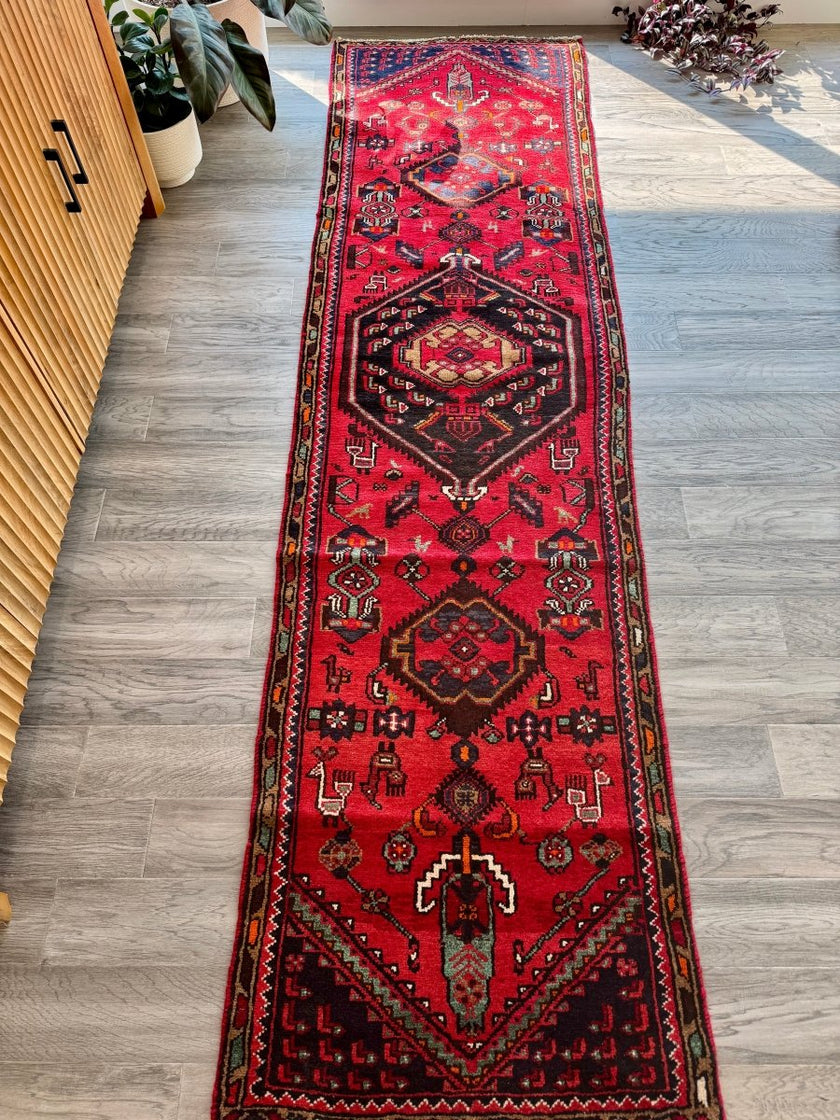 Persian Hamedan Runner Rug | 2' 4