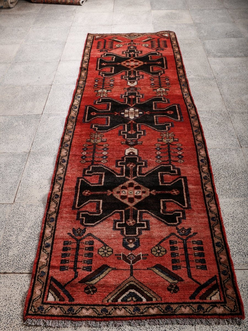 Persian Hamedan Runner Rug | 2' 9” x 9' 1