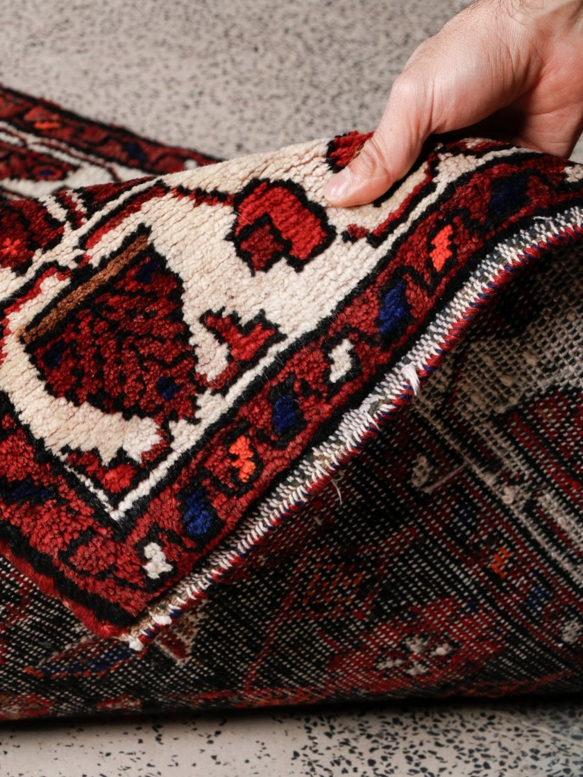 Persian Hamedan Runner Rug | 3' 8” x 9' 10