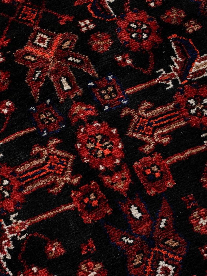Persian Hamedan Runner Rug | 3' 8” x 9' 10
