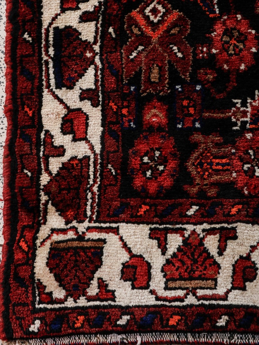 Persian Hamedan Runner Rug | 3' 8” x 9' 10