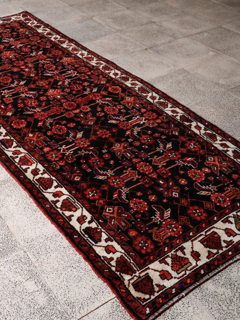 Persian Hamedan Runner Rug | 3' 8” x 9' 10