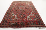 Persian Heriz Rug | 6' 9
