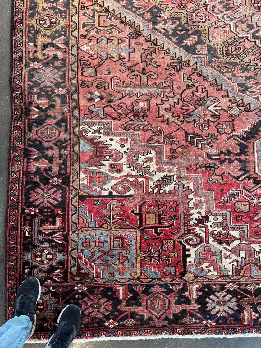 Persian Heriz Rug | 9' 8