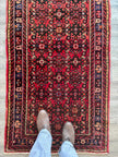 Persian Hossein Abad Runner Rug | 2' 11