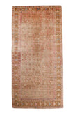 Persian Hosseinabad Rug | 5' 3