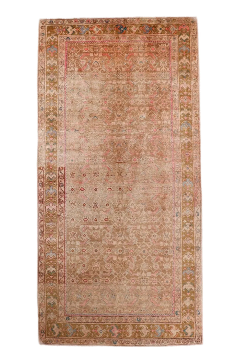Persian Hosseinabad Rug | 5' 3