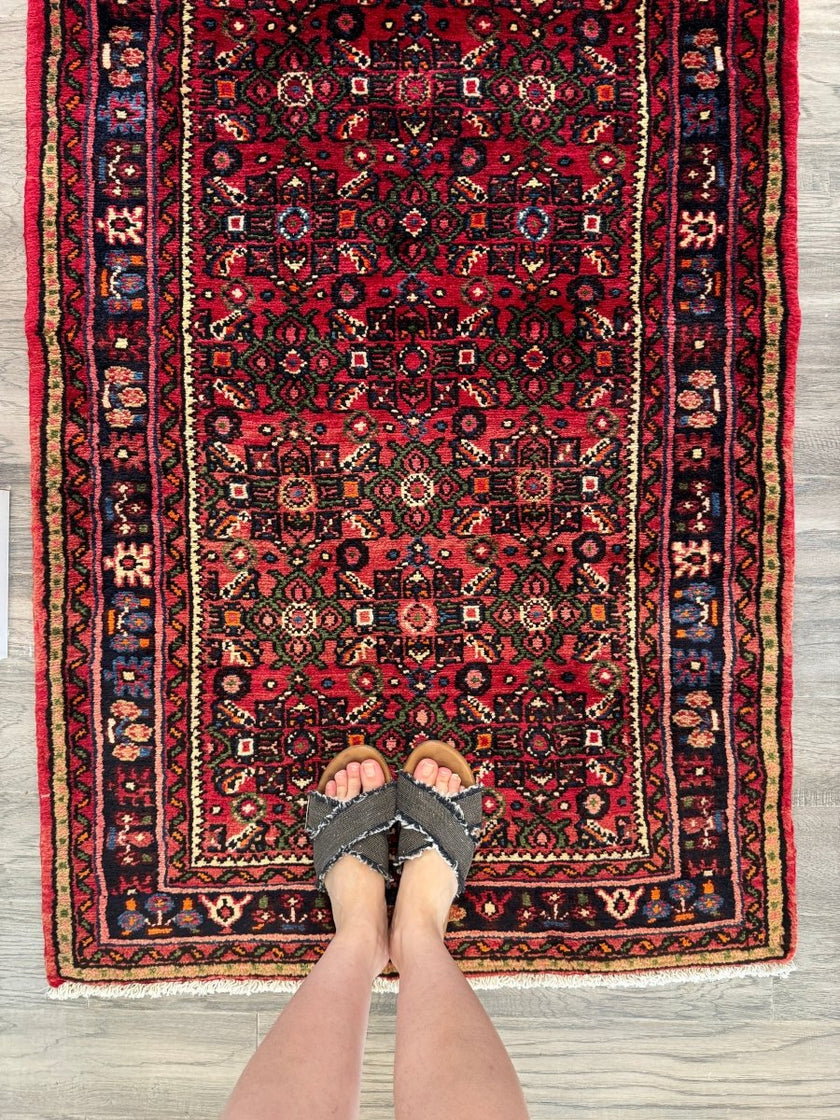 Persian Hosseinabad Runner Rug | 2' 11